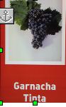 Garnacha tinta